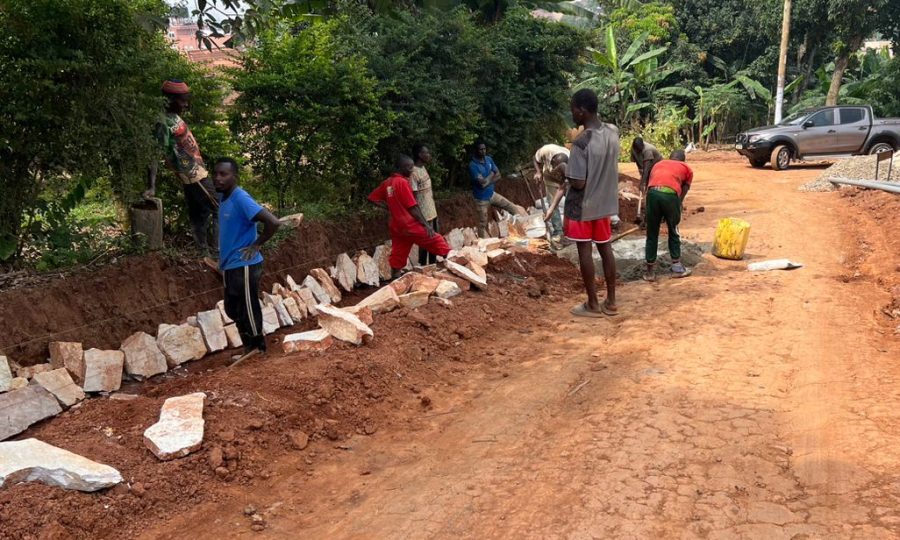 shemsande foundation 12