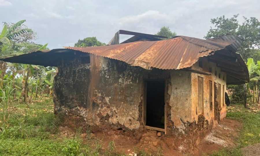 shemsande foundation 5